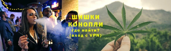 прущие грибы Киреевск