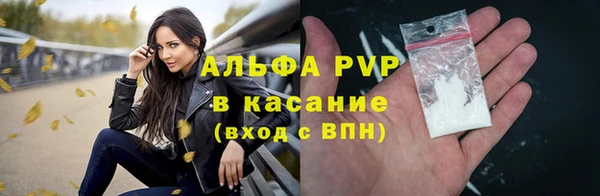 прущие грибы Киреевск