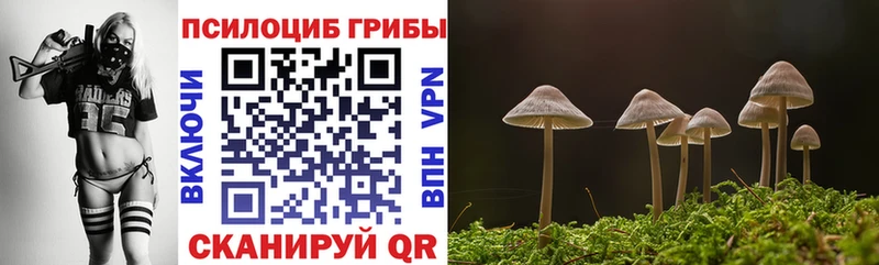 Купить где Дыгулыбгей Псилоцибиновые грибы GOLDEN TEACHER
